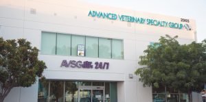 AVSG Building Purple Sign