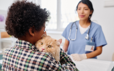Navigating Pet Emergencies: When to Visit Urgent Care